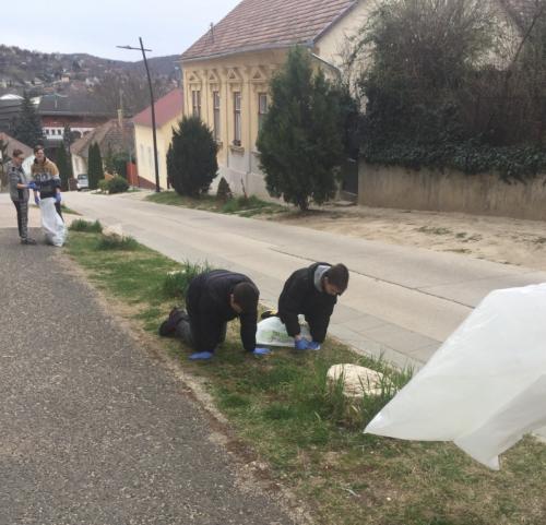 Tamási Würtz 5. társadalmi felelősségvállalás 13